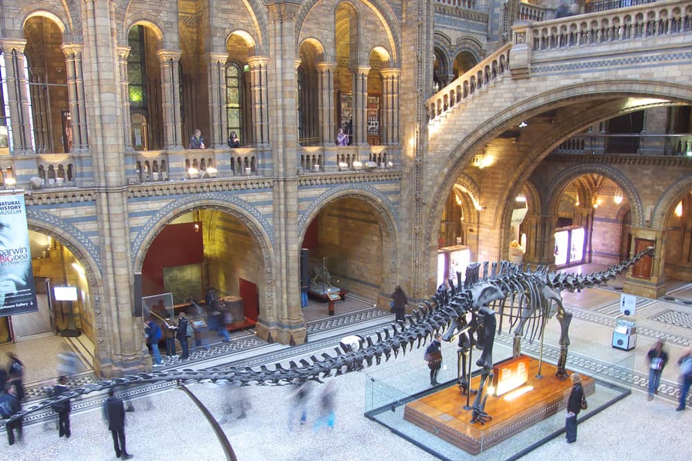 موزه تاریخ طبیعی لندن